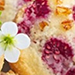 financier framboise